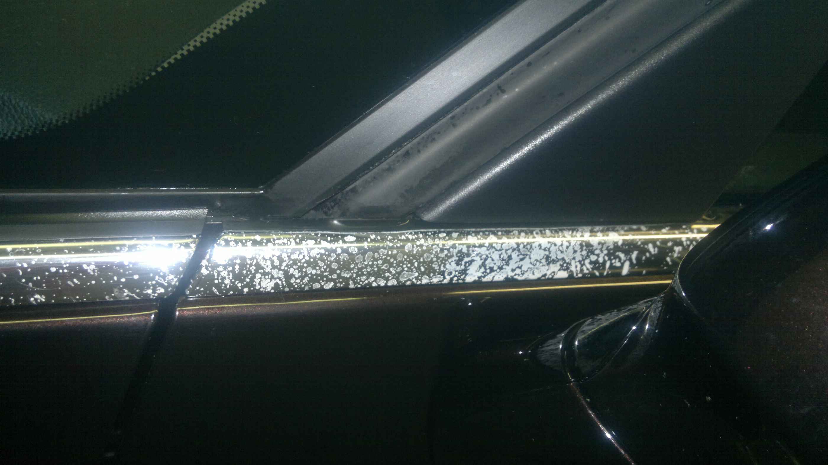Umyté auto