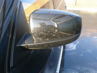 Odstranění zaschlého hmyzu z karoserie vozu