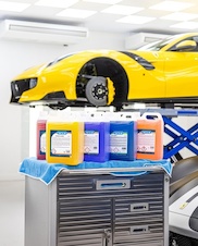 NERTA DETAILING 5L