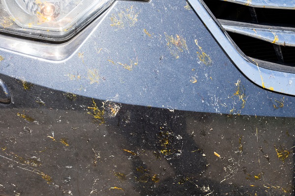 Jak šetrně odstranit hmyz z karoserie auta